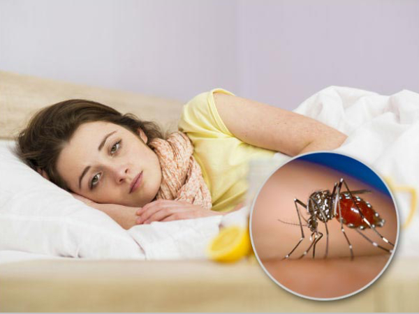 world malaria day 2024