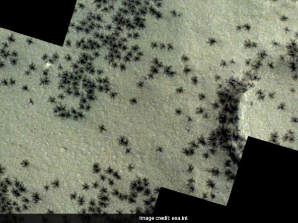 spider like features on mars