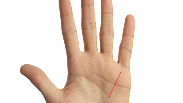 Shani Rekha In Your Hand