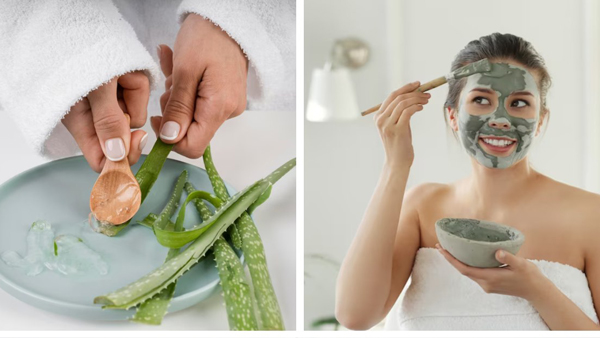Aloe Vera and Neem Face Pack Aloe Vera and Neem Face Pack