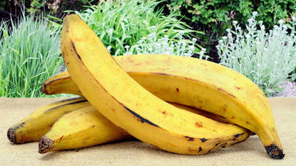 Kerala Bananas
