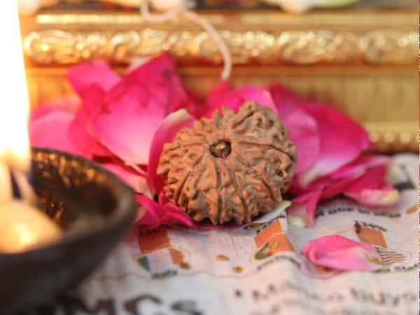 rudraksha