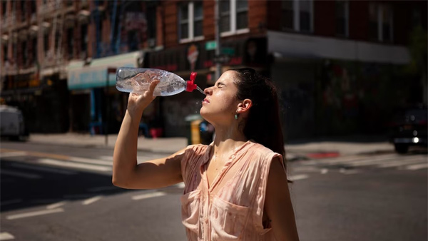 Cooling Spices That Are Good During Summer
