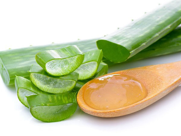 oily skin treatment using aloe vera