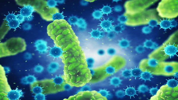 flesh eaing bacteria