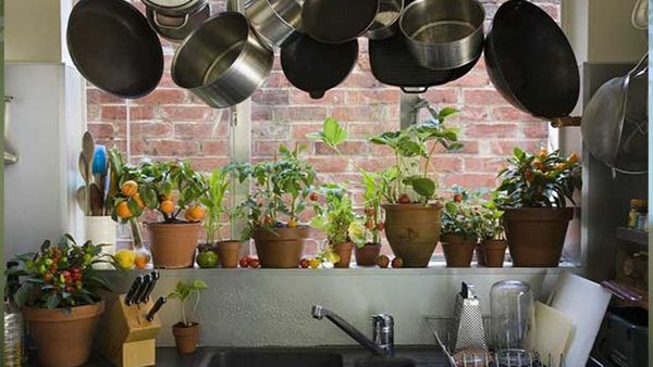 Natural Kitchen Cleaning