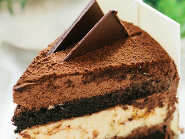 chocolate cake chocolate cake