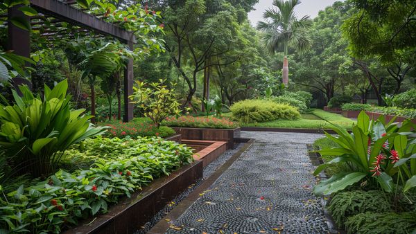 Monsoon Garden Care Tips Monsoon Garden Care Tips