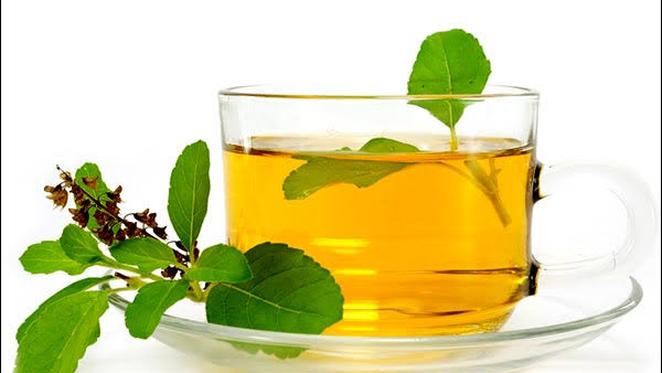 Benefits of Drinking Tulsi Water