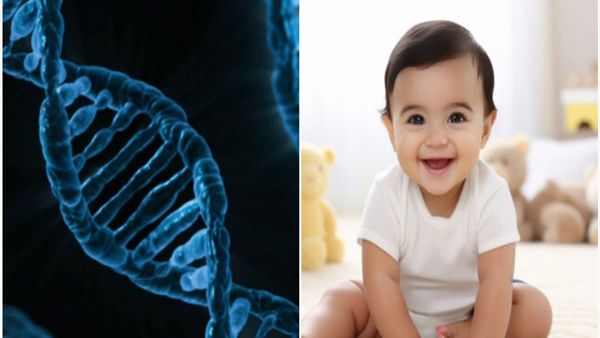 Y chromosome reduction
