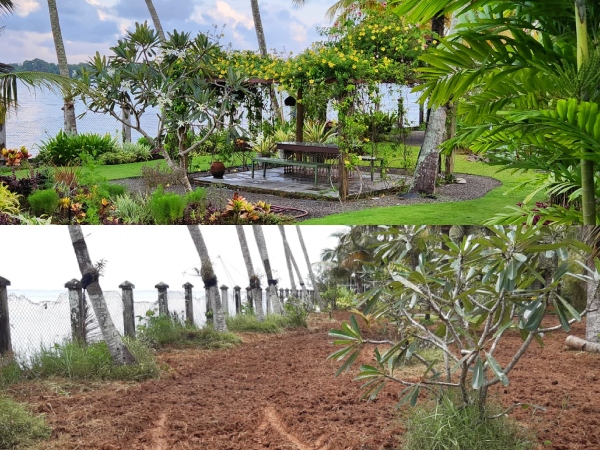 garden before and after