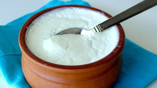 Curd in Ayurveda Curd in Ayurveda