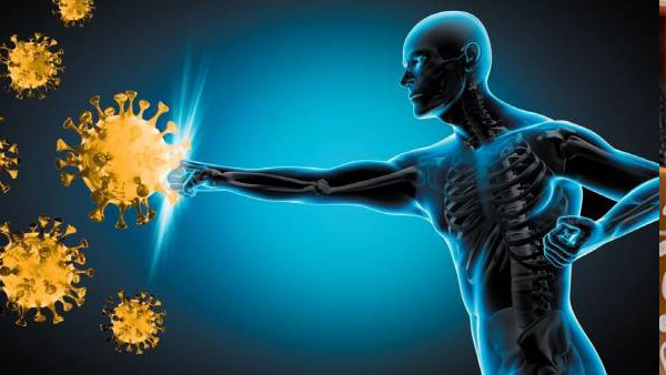 Immunity food Immunity food