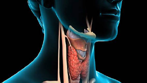 Thyroid Imbalances