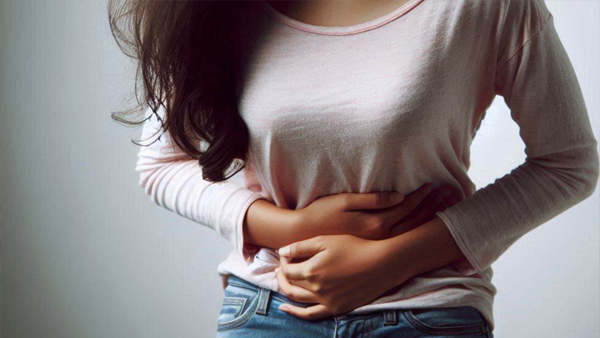 Menstrual Cycle Menstrual Cycle