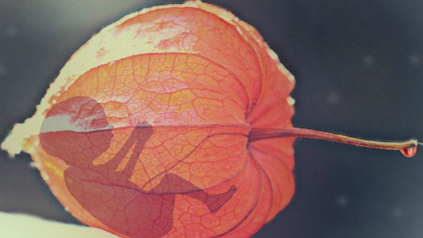 Understanding Miscarriage