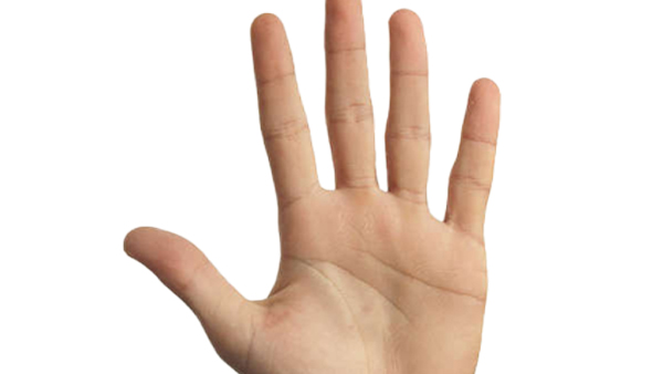 What your Little Finger Says About You