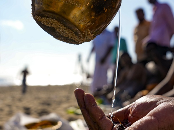 pausha amavasya pausha amavasya