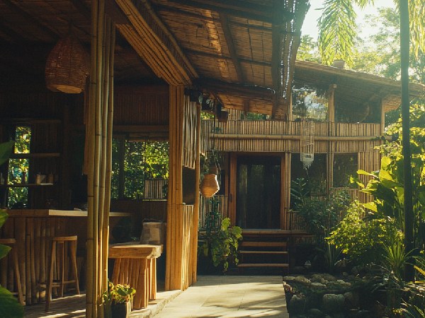 eco friendly home tips