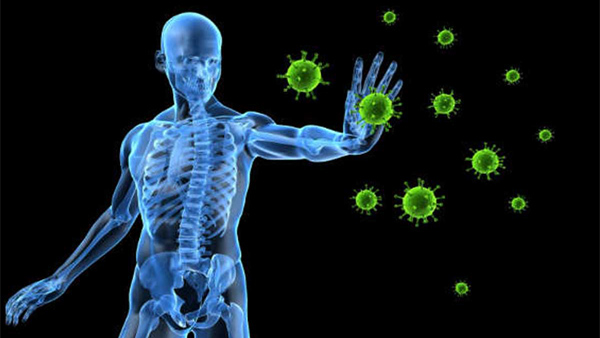 Natural Boosters to Strengthen Your Immune System