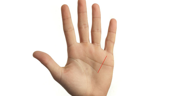 The Shape of Your Index Finger