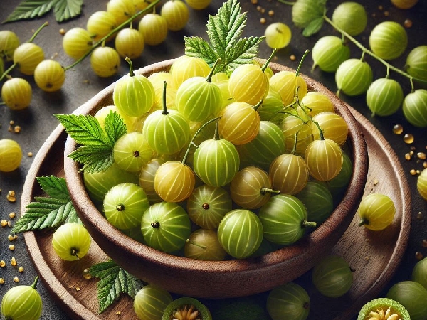 gooseberry