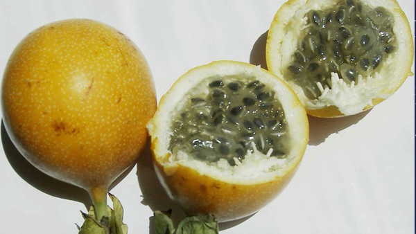 Health Benefits of Passion Fruit