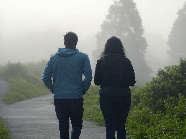 couples walking through the mist