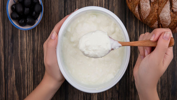 How to Store Curd Properly