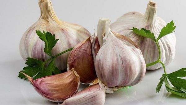 Extend Garlic Shelf Life
