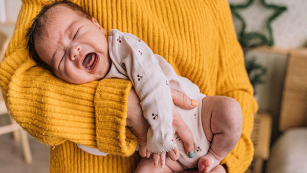 Understanding the Newborn Stage Understanding the Newborn Stage