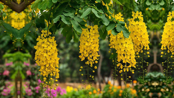 April 2025 Monthly Horoscope