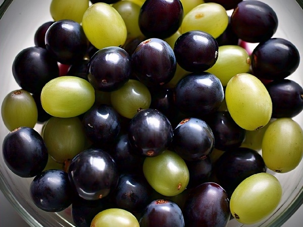 Black Grapes vs Green Grapes Nutritional Profiles and Health Benefits Compared