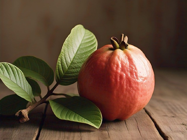 Daily Guava Separating the Benefits from the Side Effects for a Healthy You