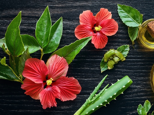 Hibiscus Hair Mask Benefits Promote Hair Growth Reduce Dandruff and More