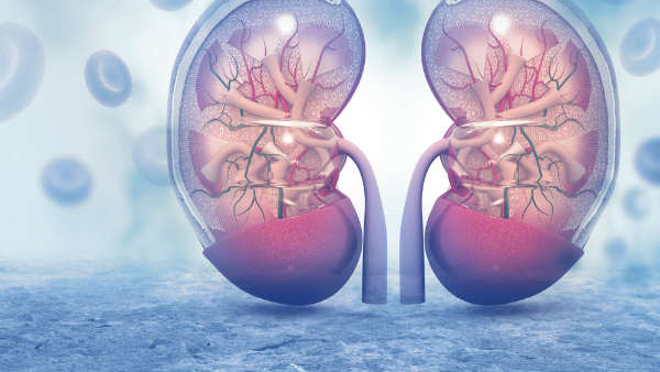 World Kidney Day 2025