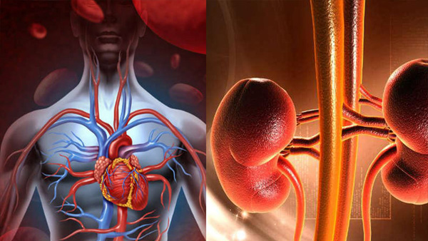 Simple Daily Habits to Boost Your Kidney Simple Daily Habits to Boost Your Kidney