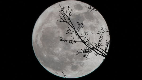 Keep these things At Home On Lunar Eclipse Day