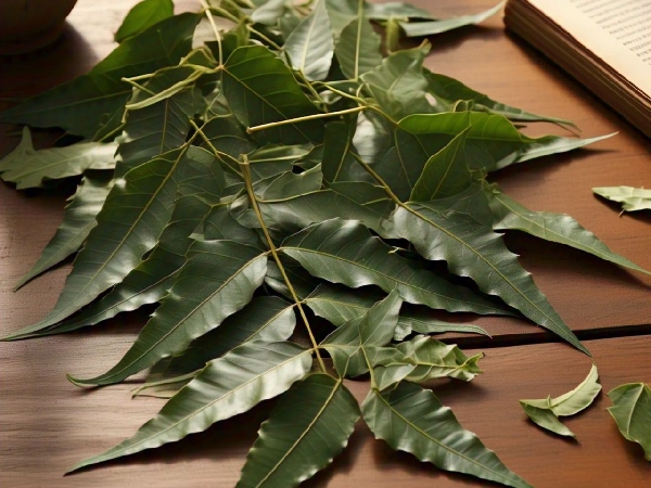 3 Neem Face Packs for Clear Skin Get Glowing Skin Naturally in Malayalam