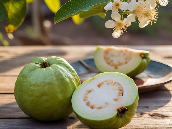 Eating Guava Every Day The Science Behind the Health Benefits details in Malayalam Eating Guava Every Day The Science Behind the Health Benefits details in Malayalam