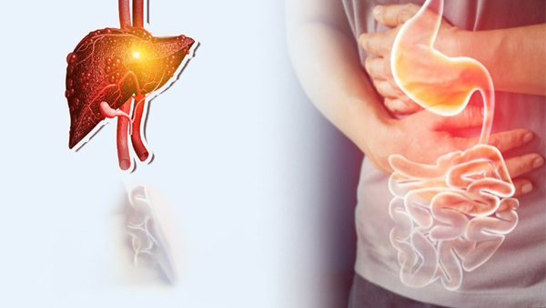 World Liver Day 2025