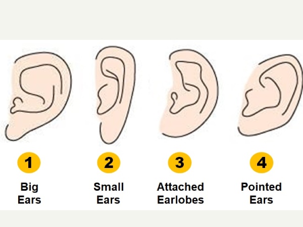 earshape and personality
