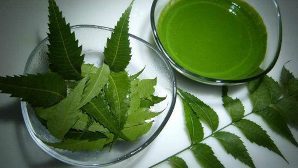 Benefits of Neem