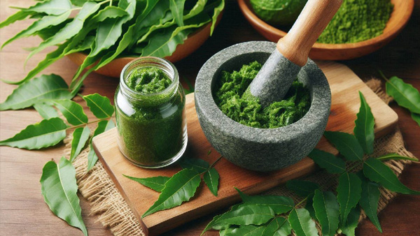 Benefits of Neem