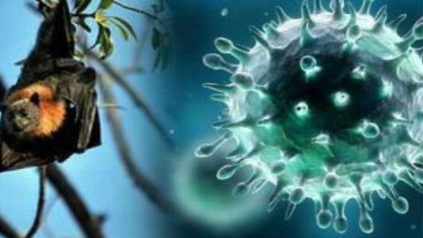 Nipah Virus in Kerala