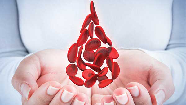 World Blood Donor Day 2025