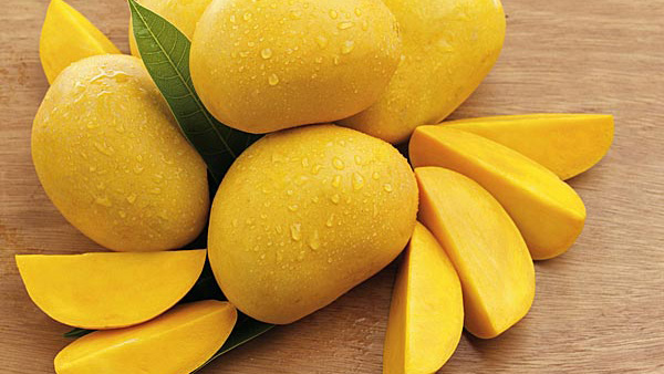 why mango turns brown