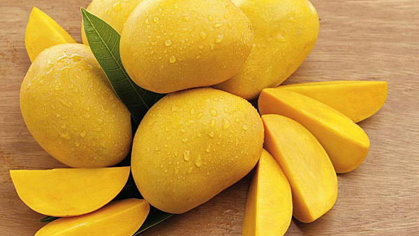 Soaking mangoes in water