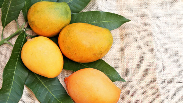Soaking mangoes in water