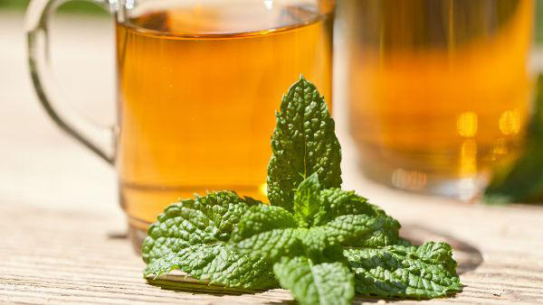 Monsoon Wellness Monsoon Wellness